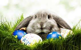 Happy Easter